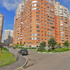 Kuzminskaya Street, 19, Kotelniki: photo