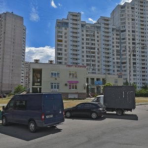 Myloslavska Street, 49, Kyiv: photo