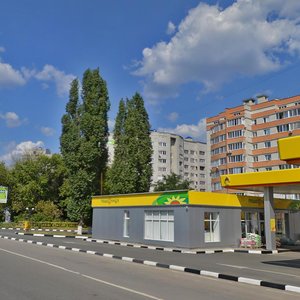 Moskovskiy Avenue, 84, Voronezh: photo