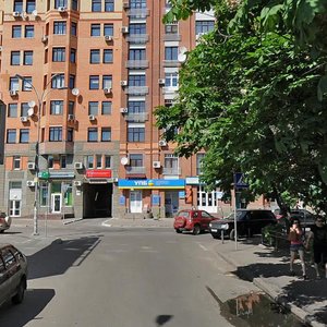 Panasa Myrnoho Street, 10, Kyiv: photo