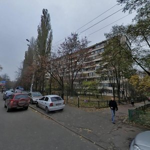 Politekhnichnyi Lane, 3, Kyiv: photo