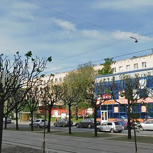 Novocherkasskiy Avenue, 36к1, Saint Petersburg: photo
