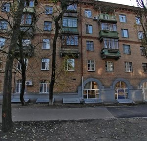 Profesora Pidvysotskoho Street, 10, Kyiv: photo