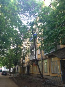Tashkentskaya Street, 96, : foto