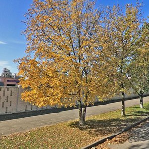 Минск, Улица Петруся Бровки, 28: фото