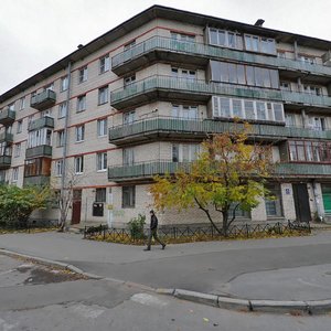 Kosmonavtov Avenue, 29к1, : foto