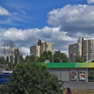 Simi Sosninykh Street, 17А, Kyiv: photo