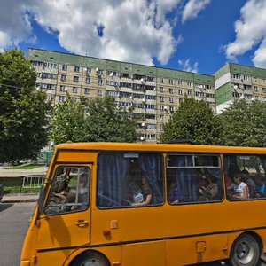 Sykhivska vulytsia, 4, Lviv: photo
