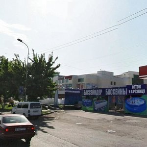 Raiymbek Avenue, 239Г, Almaty: photo