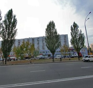 Heroiv Stalinhrada Avenue, 27, Kyiv: photo