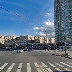 Oleko Dundicha Street, 17к1, Saint Petersburg: photo