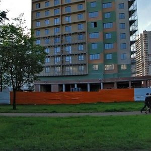 Kosmonavtov Avenue, 65к1 ، سان بطرسبرغ: صورة