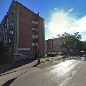 Litvinova Street, 15, Penza: photo