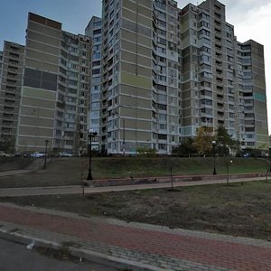 Pryrichna Street, 37, Kyiv: photo