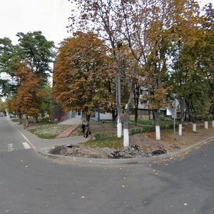 Ivana Mazepy Avenue, 1, Vyshhorod: photo