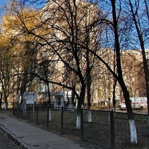 Platona Maiborody Street, 5/9, Kyiv: photo