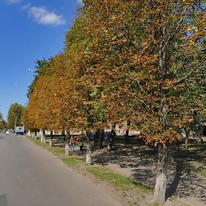 Vulytsia Biblyka, 1, : foto