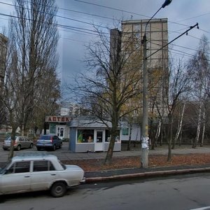 Vasylia Poryka Street, 18А, : foto