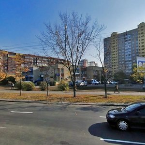Volodymyra Maiakovskoho Avenue, 10, Kyiv: photo