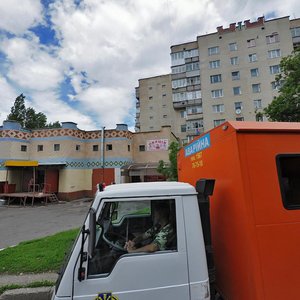 Pilotska vulytsia, 117/1, Khmelnytskyi: photo