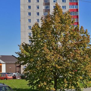 Siargieja Jasienina Street, 58, Minsk: photo