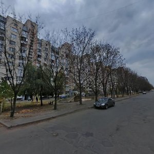 Lesia Kurbasa Avenue, 1Б, Kyiv: photo