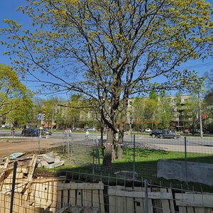 Toreza Avenue, 21, Saint Petersburg: photo