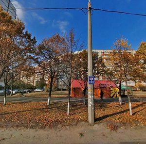 Mykoly Zakrevskoho Street, 57, Kyiv: photo