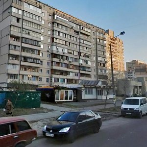 Larysy Rudenko Street, 7А, Kyiv: photo