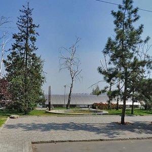 Sicheslavska Naberezhna Street, 7А, Dnipro: photo