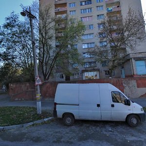 Mykhailivska vulytsia, 79 ، : صورة