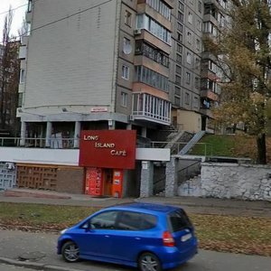 Druzhby Narodiv Boulevard, 3, Kyiv: photo