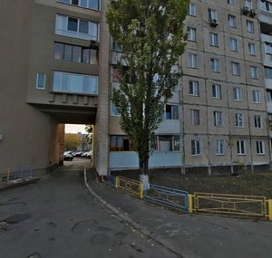 Pryrichna Street, 19, Kyiv: photo