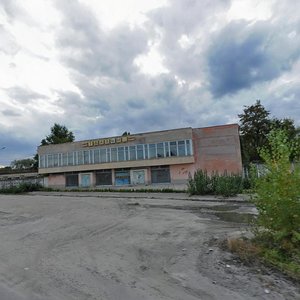 Novopyrohivska Street, 60, : foto