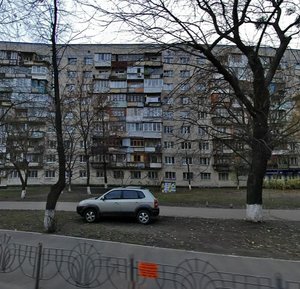 Zhylianska Street, 45, Kyiv: photo