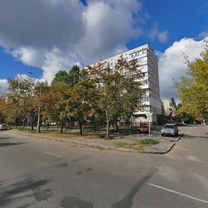 Svitlytskoho Street, 28, Kyiv: photo