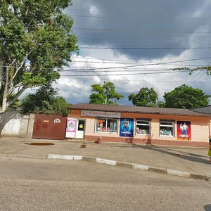 Sevastopolskaya Street, 44 ، سيمفيروبول: صورة