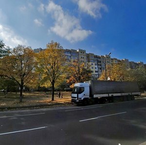Serzha Lyfaria Street, 1, Kyiv: photo
