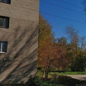 Ulitsa Berkino, 36, Voskresensk: photo