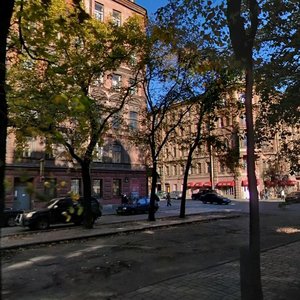 Klinskiy Avenue, 19, Saint Petersburg: photo