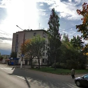 Leningradskoye Highway, 31, Vyborg: photo