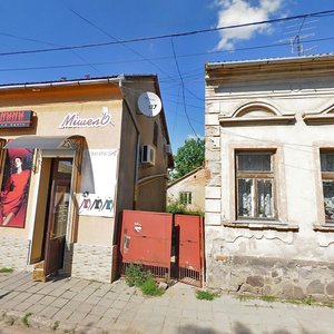 Kupalna vulytsia, 10, Mukactevo: photo