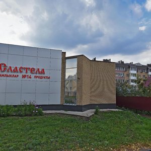 Neftyanikov Avenue, 113А, Elabuga: photo