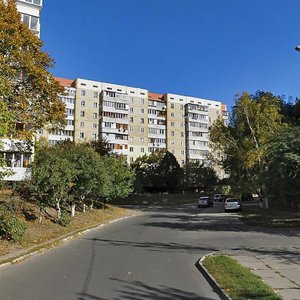 Kvitnevyi Lane, 7, Kyiv: photo