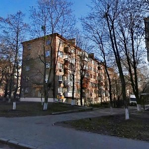 Derevlianska Street, 17А, Kyiv: photo