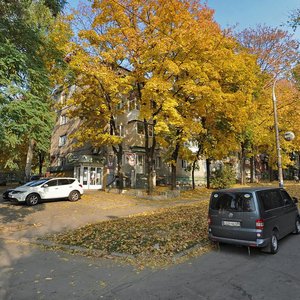 Prykhodska vulytsia, 45А, Zaporizhia: photo