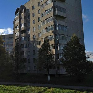 Vostochnaya Street, 1 ، : صورة