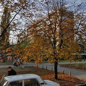 Amvrosiia Buchmy Street, No:4, Kiev: Fotoğraflar