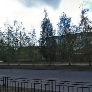 Vakhitova Avenue, 49, Nizhnekamsk: photo