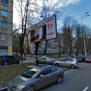 Mechnykova Street, 8, Kyiv: photo